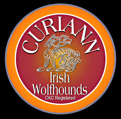 Curiann Irish Wolfhounds